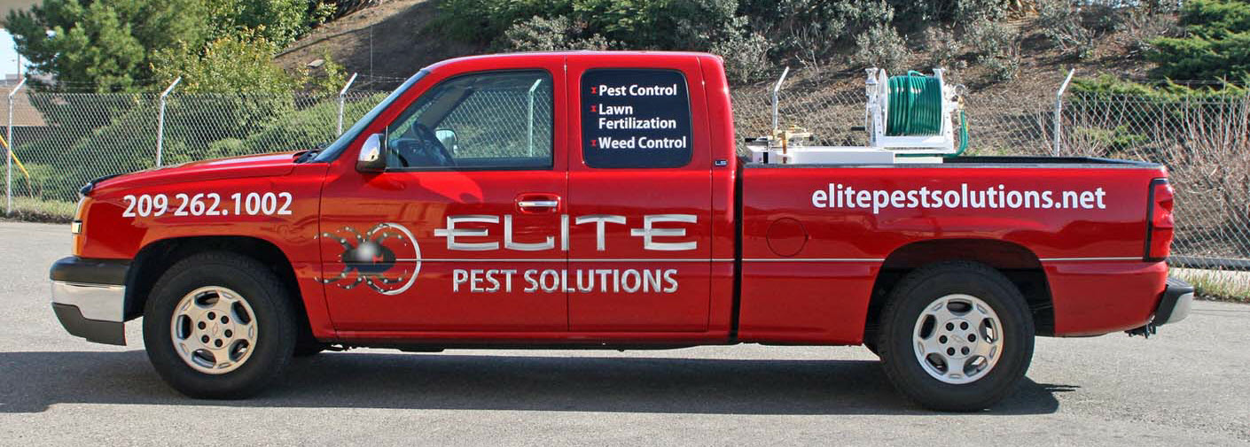 Vehicle Lettering